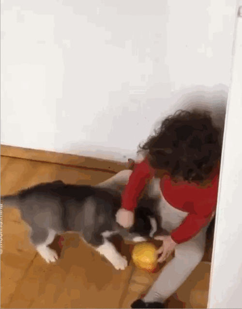 吃瓜狗嘴里发酸,揭秘娱乐圈背后的真相