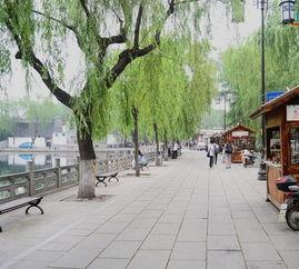 济南曲水亭街摩托吃瓜