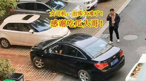 汽车倒车吃瓜,揭秘汽车倒车时的趣味瞬间