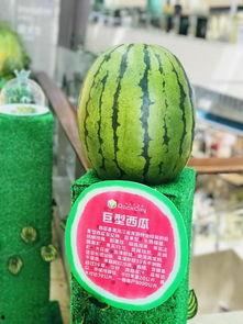 吃瓜温客行,一场穿越时空的美食之旅