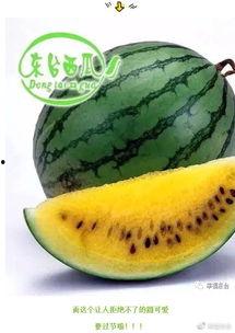 开森吃瓜视频,揭秘娱乐圈幕后故事,带你领略明星真实生活