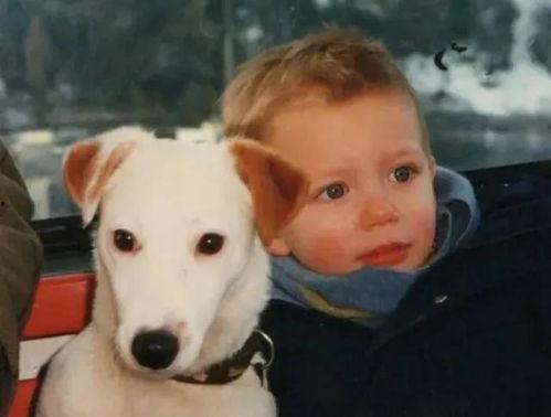 吃瓜短句观看,吃瓜群众视角下的娱乐圈风云录