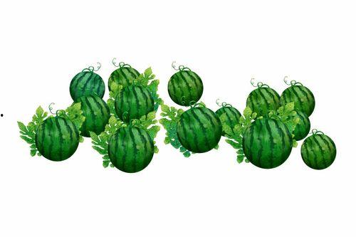 阿庄吃瓜,揭秘娱乐圈背后的那些事儿