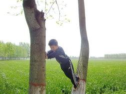 帅哥爬树吃瓜,帅哥爬树吃瓜的悠闲时光