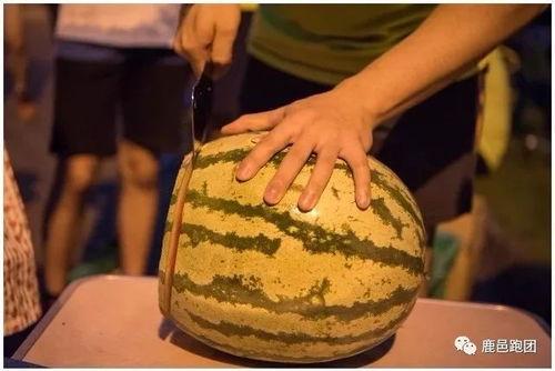 吃瓜比赛的感悟